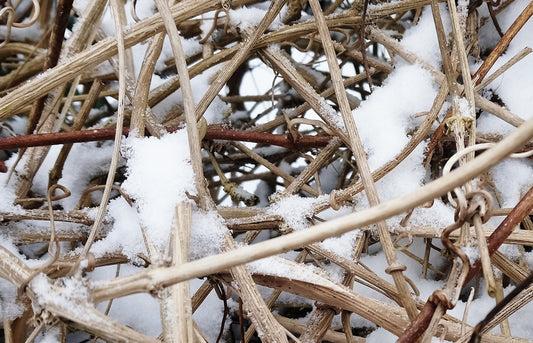 Longing for Snow - A Potter's Personal Reflection