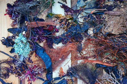 November Seaweed: A Basket Full Of Seaweed and Ceramic Gift Tags for Christmas