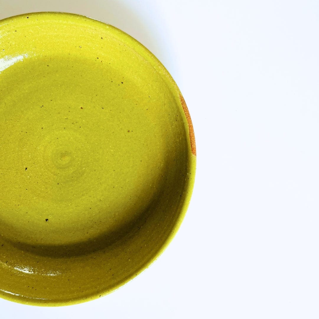Ceramic Pasta Bowls in Yellow/Green