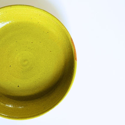 Ceramic Pasta Bowls in Yellow/Green