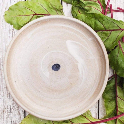 White Stoneware Dinner Plates With a Coastal Farmhouse Design