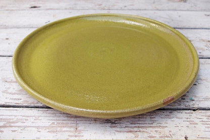 <div><br></div> <h2><strong>Large Ceramic Dinner Plates for Everyday Living</strong></h2>